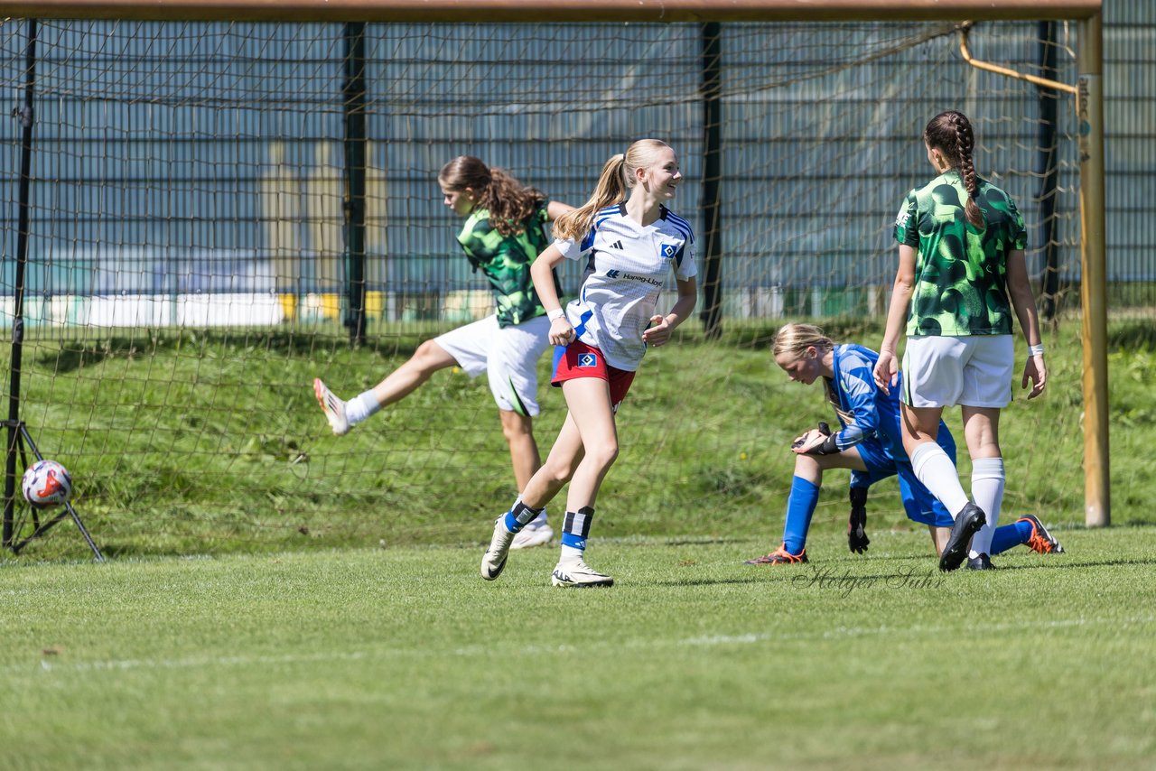 Bild 167 - wBJ Hamburger SV - VfL Wolfsburg : Ergebnis: 5:1